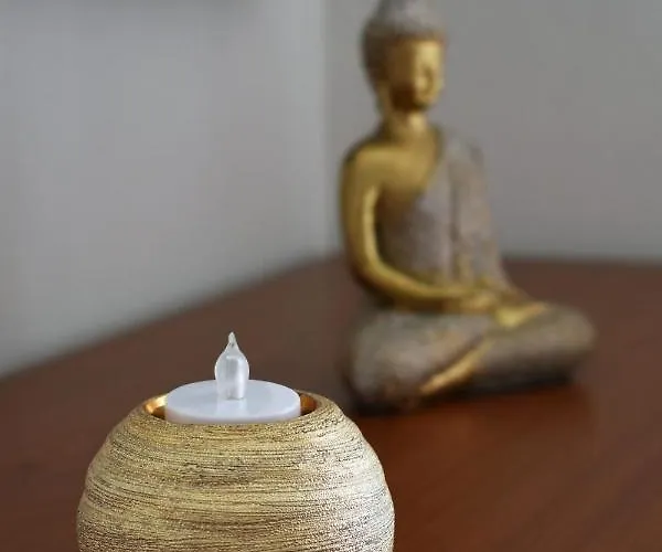 Olive - Happyhostgr - Downtown