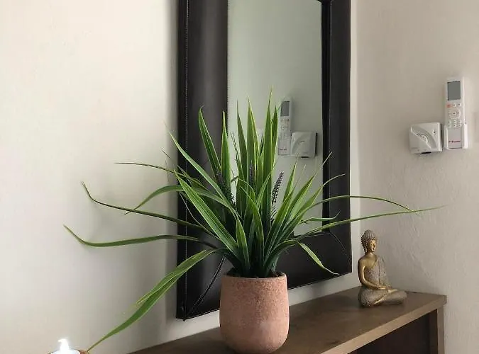 Olive - Happyhostgr - Downtown Volos